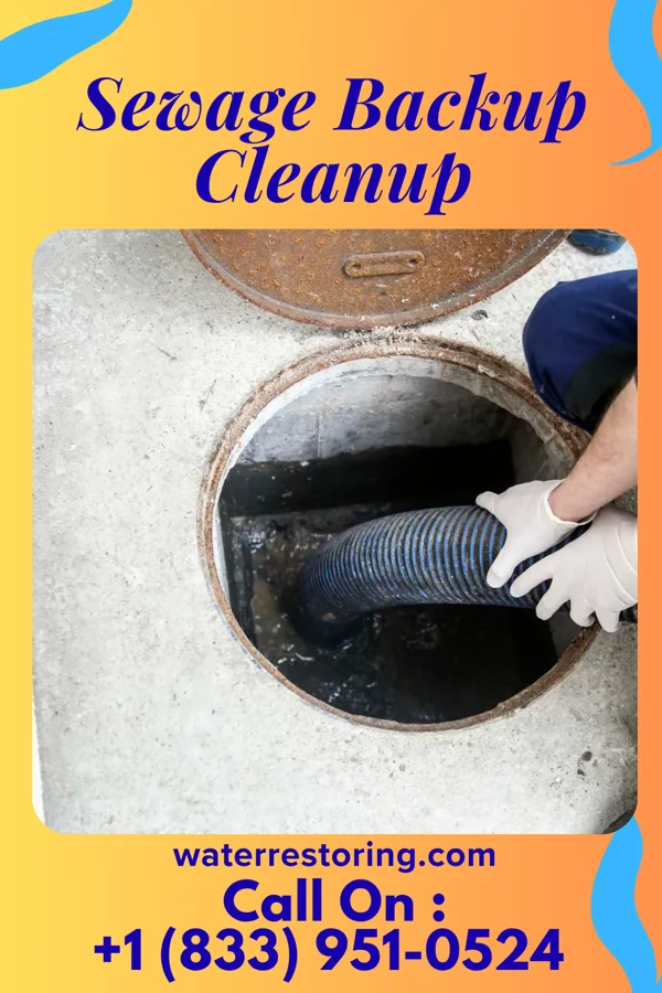 Sewage Backup Cleanup in Venus, TX